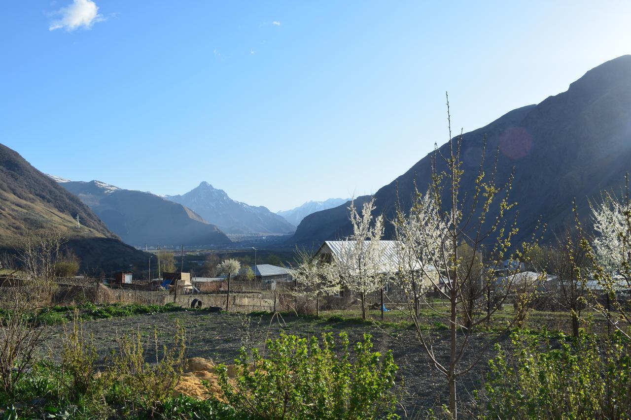 Ekaterine Guest House Kazbegi Eksteriør billede